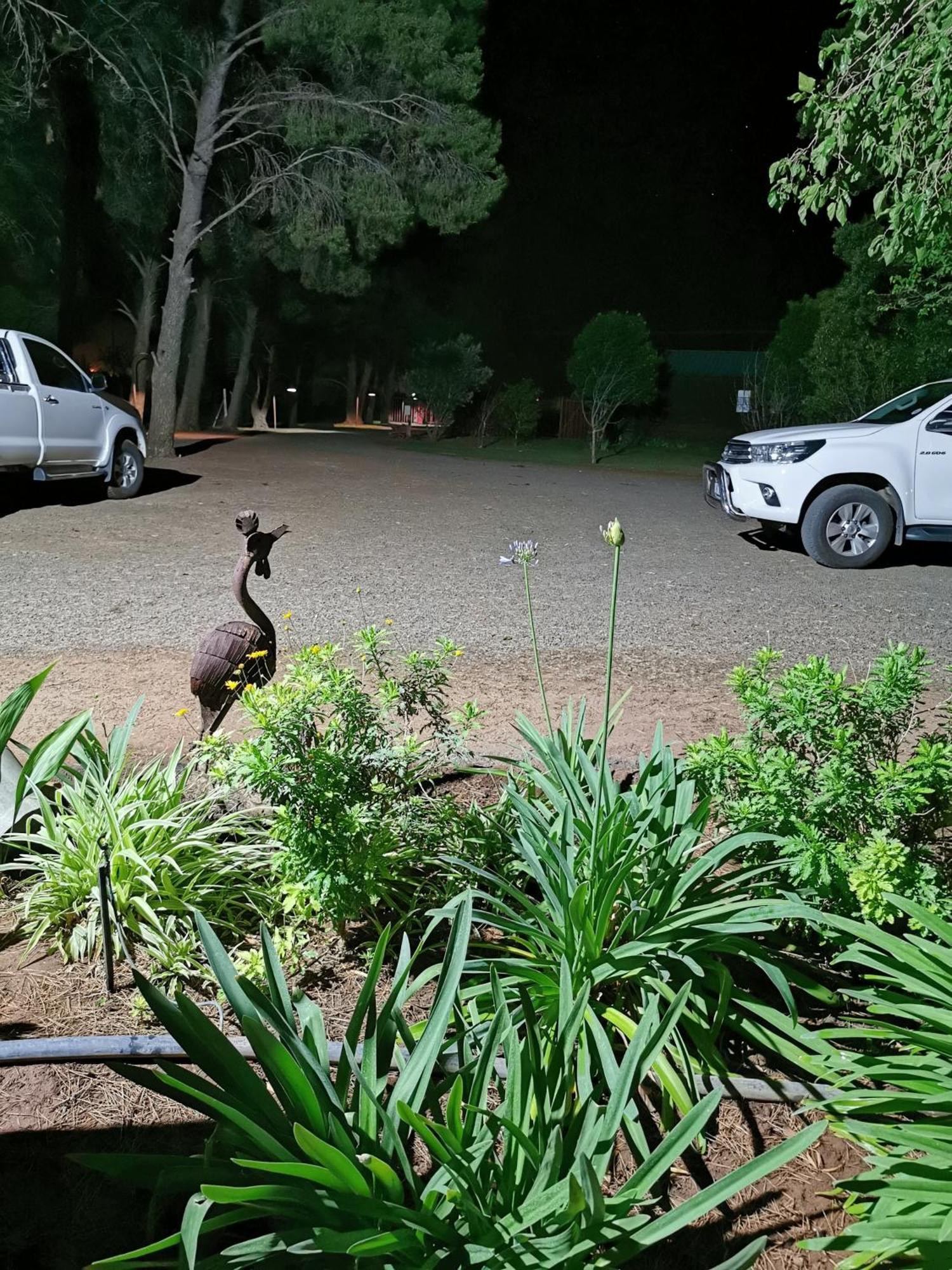 A Cherry Lane Self Catering And B&B Bloemfontein Bagian luar foto