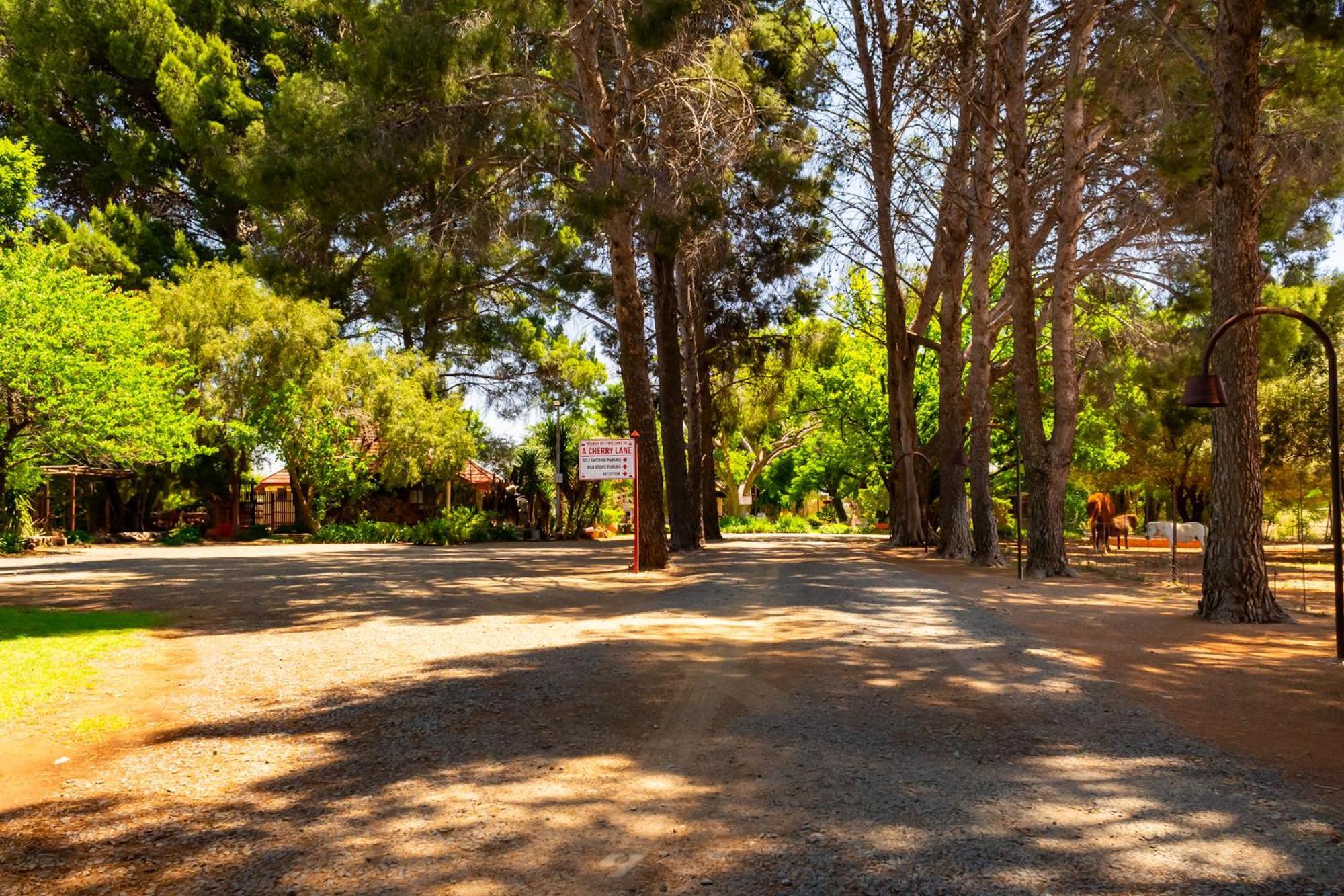 A Cherry Lane Self Catering And B&B Bloemfontein Bagian luar foto
