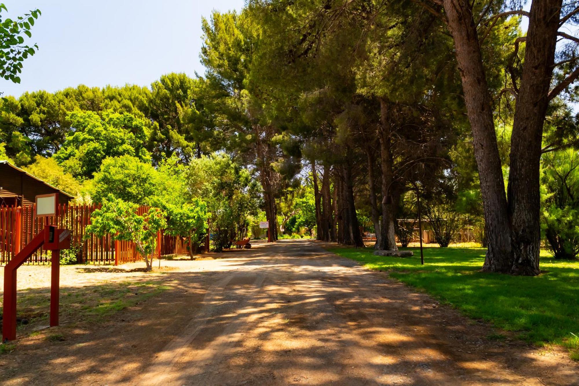 A Cherry Lane Self Catering And B&B Bloemfontein Bagian luar foto